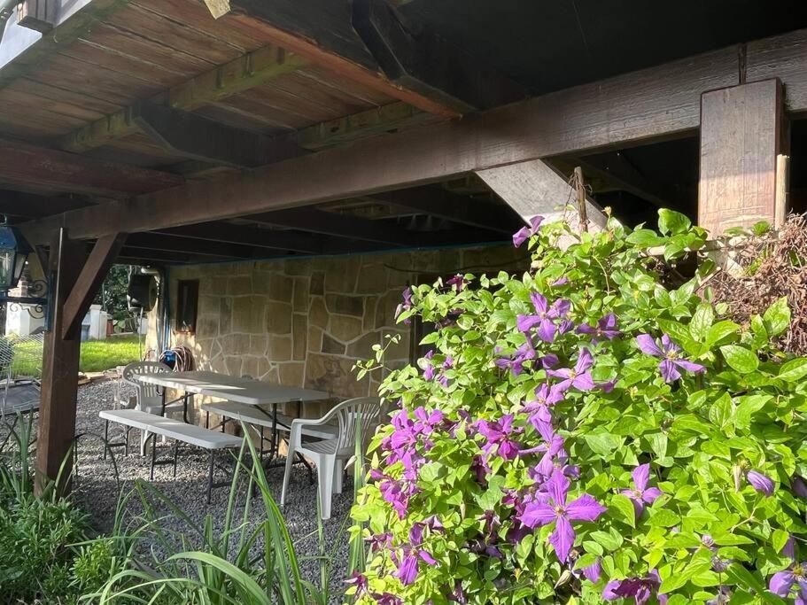 Studio Renove Rdc Terrasse Wepion Namur Dış mekan fotoğraf